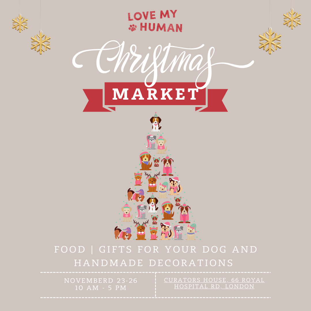 Christmas Fair Chelsea LMH