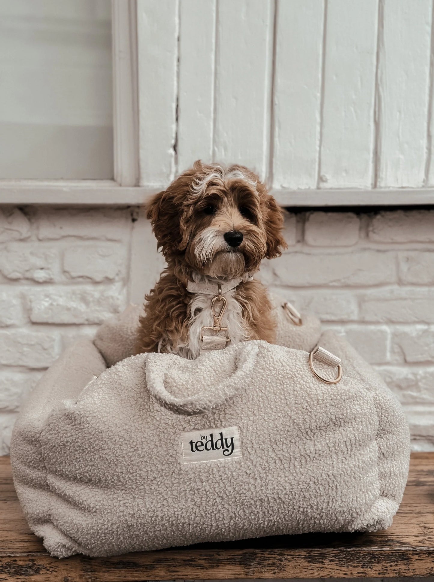 Cosy Car Seat