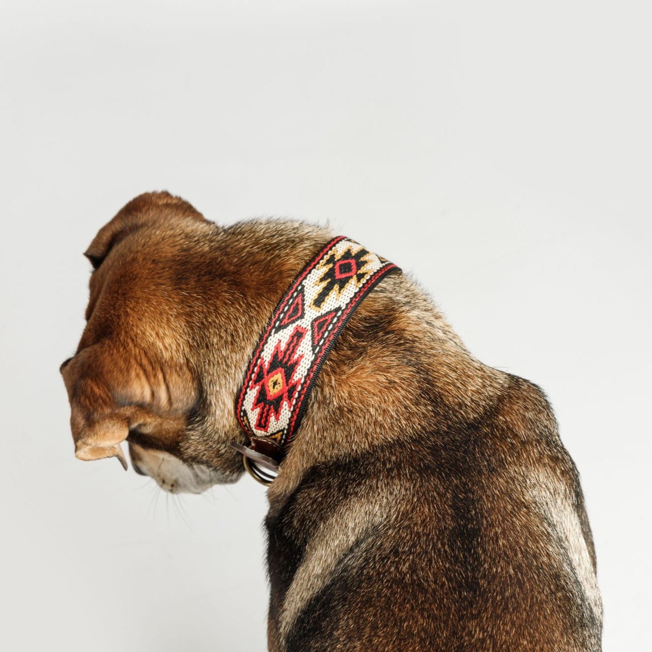 Peyote Collar