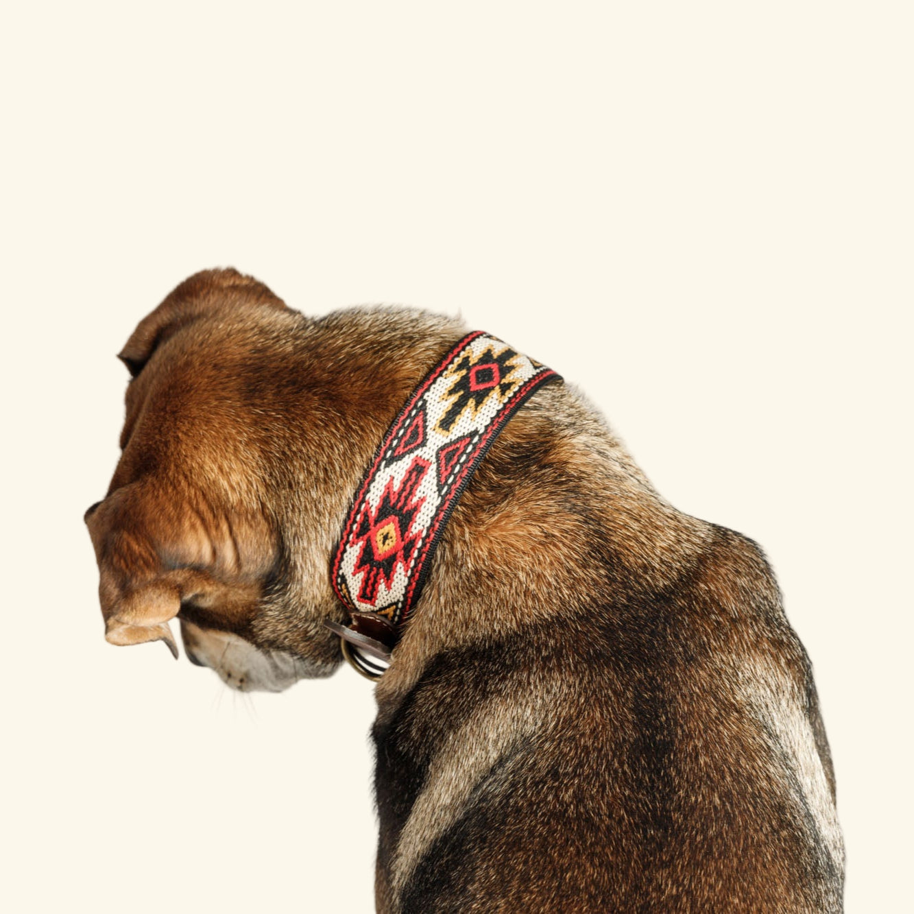 Peyote Collar