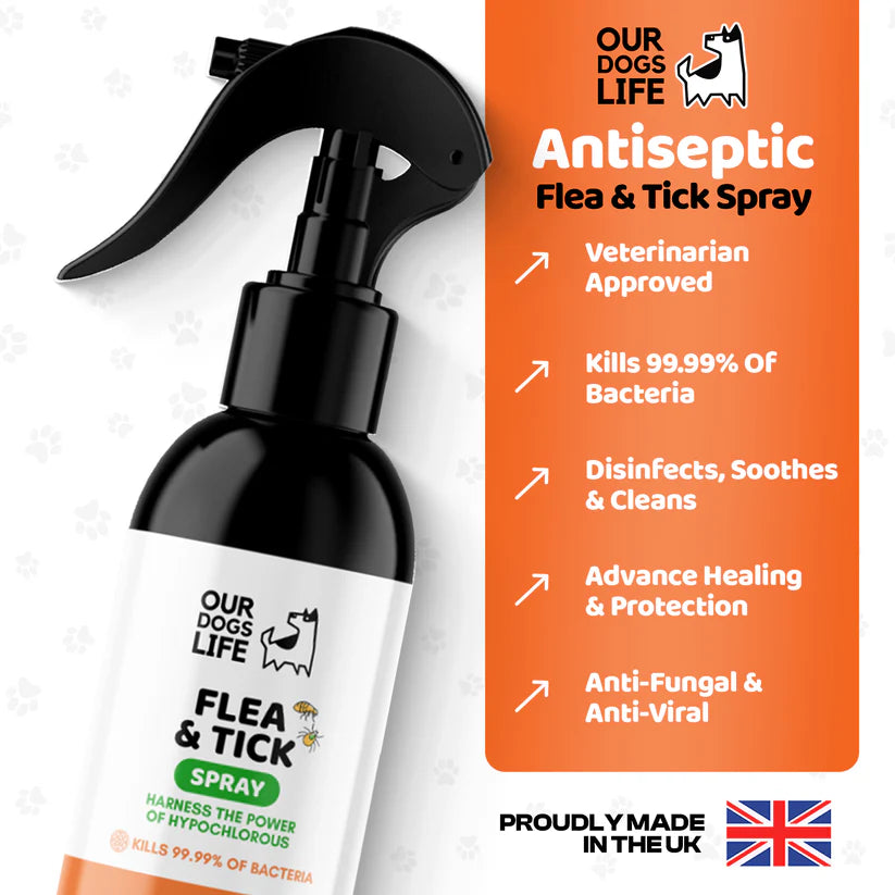 Flea and Tick Spray