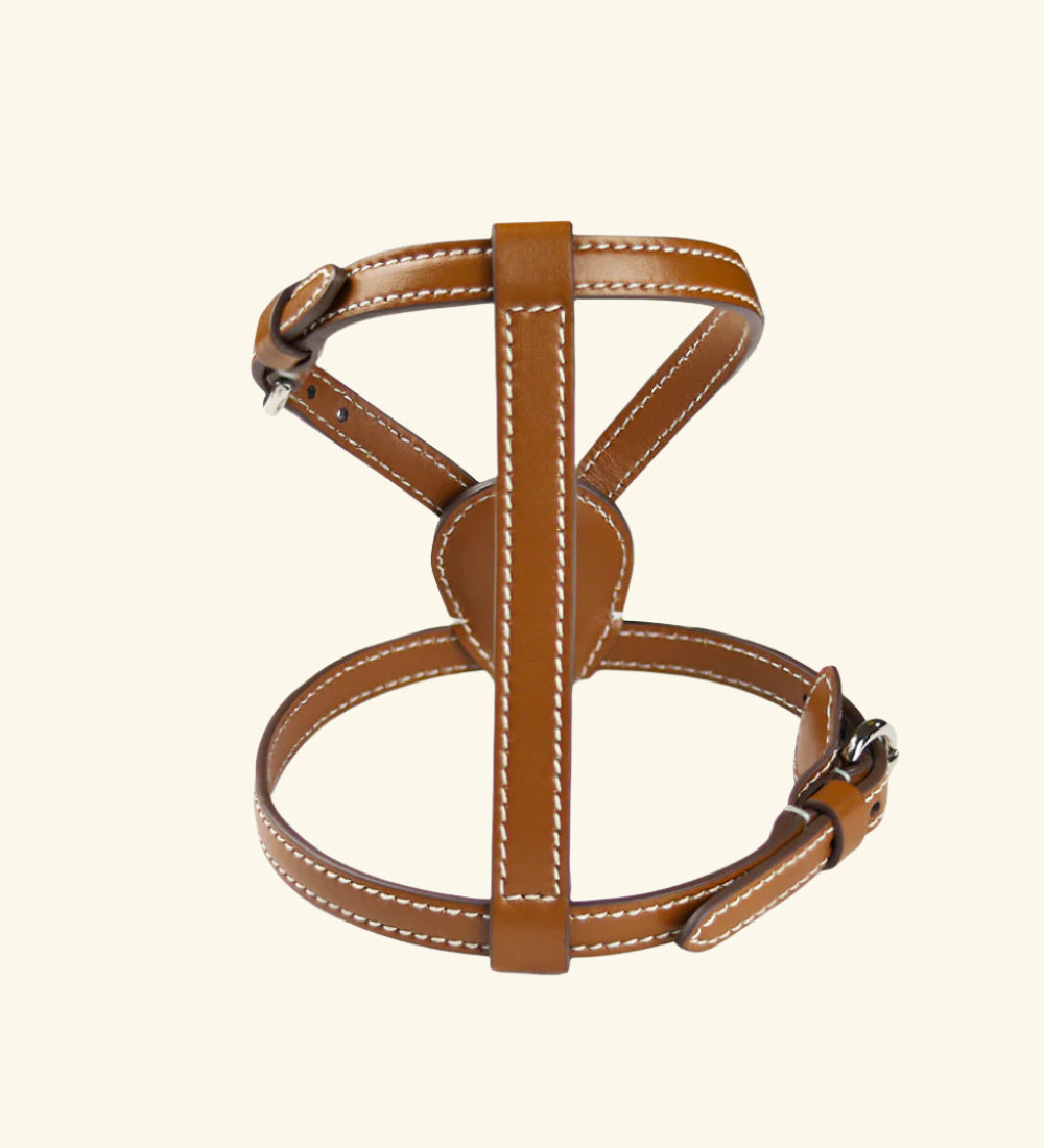 Carlotta Palermo - Nuvola Harness