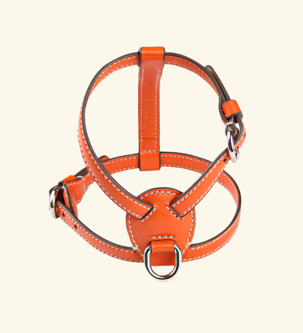 Carlotta Palermo - Nuvola Harness