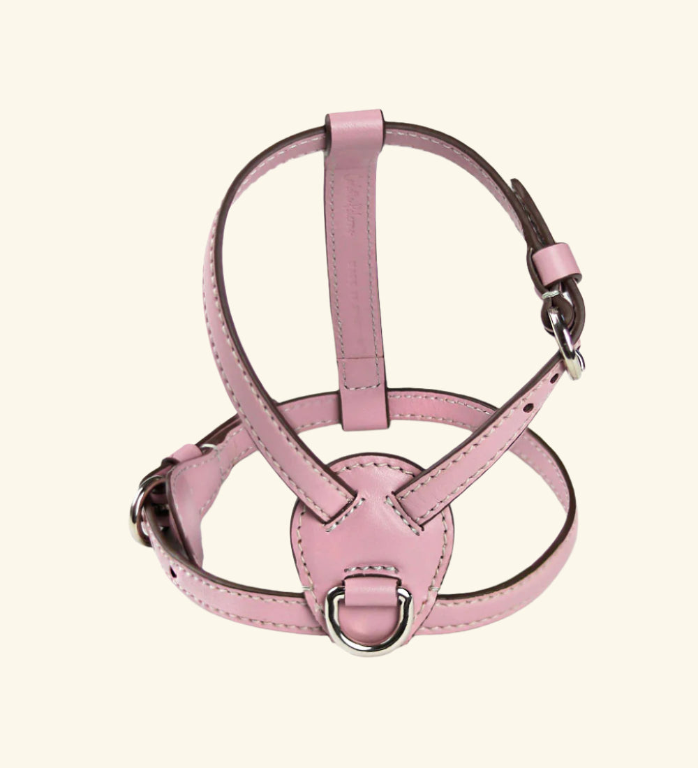 Carlotta Palermo - Nuvola Harness