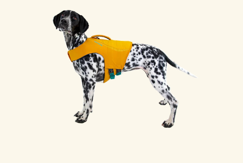 Float Coat