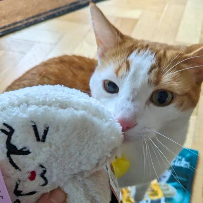 Brie Cat Toy