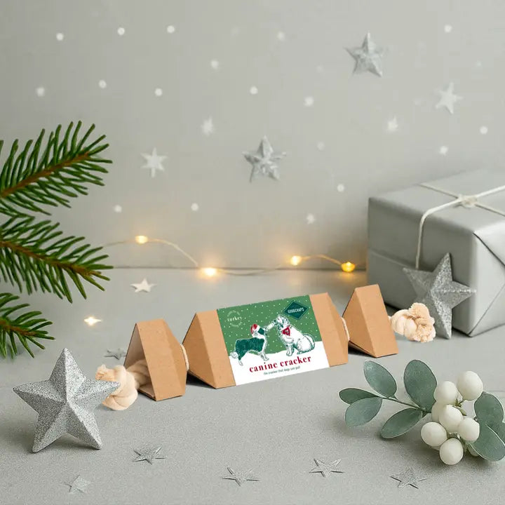 Canine Christmas Cracker - Turkey