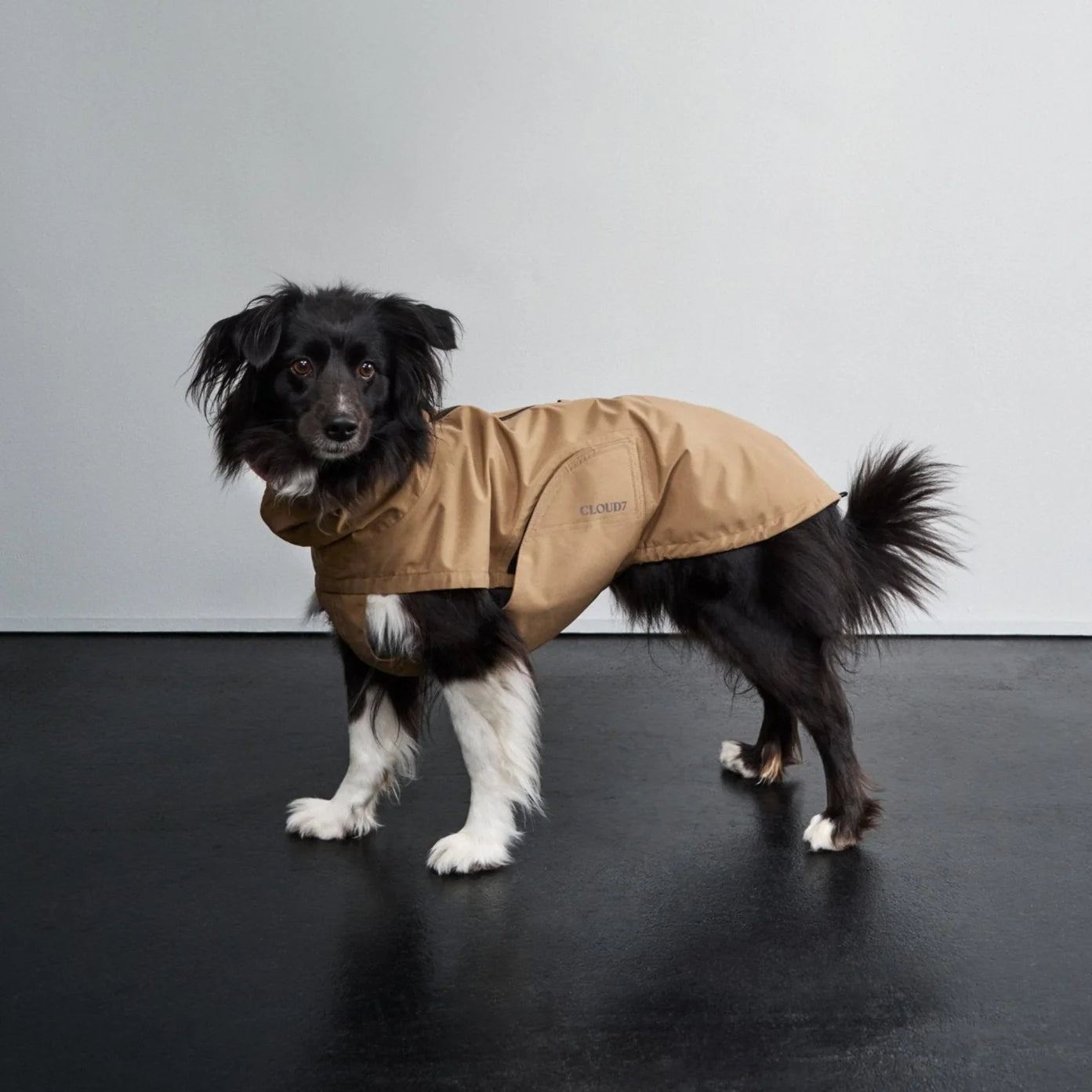 Dublin Raincoat