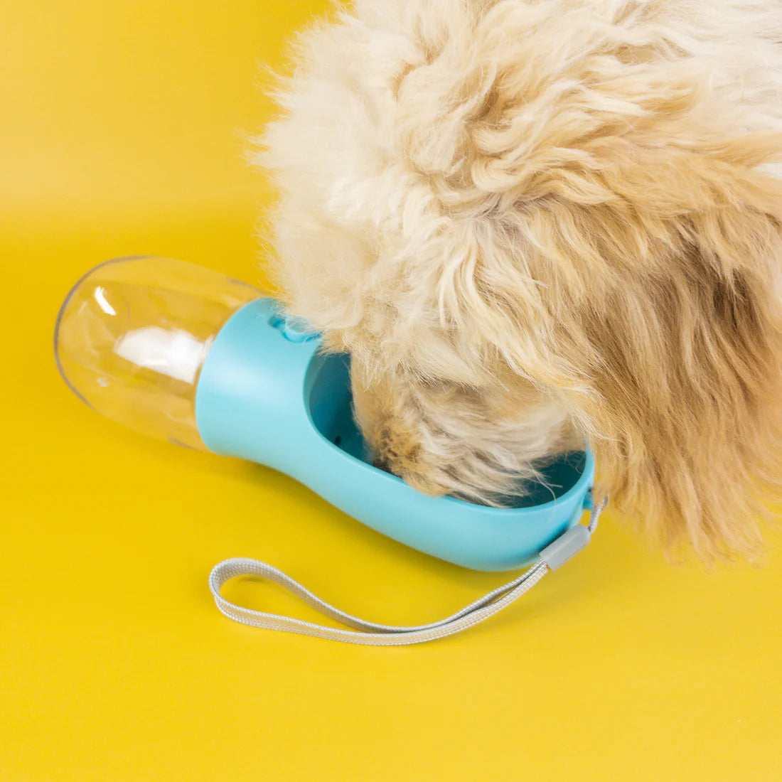 Pet Water Bottle