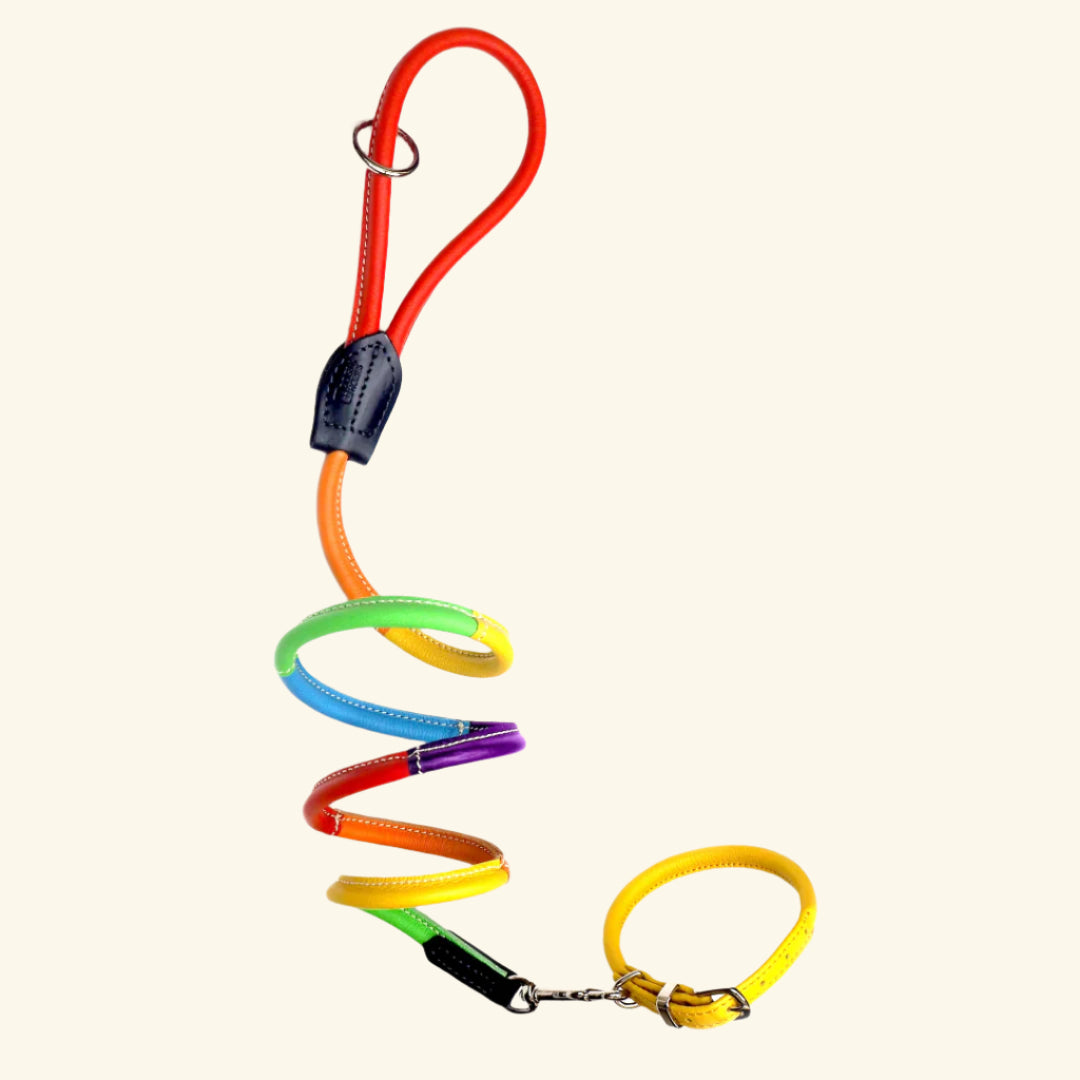 Rolled Leather Leads