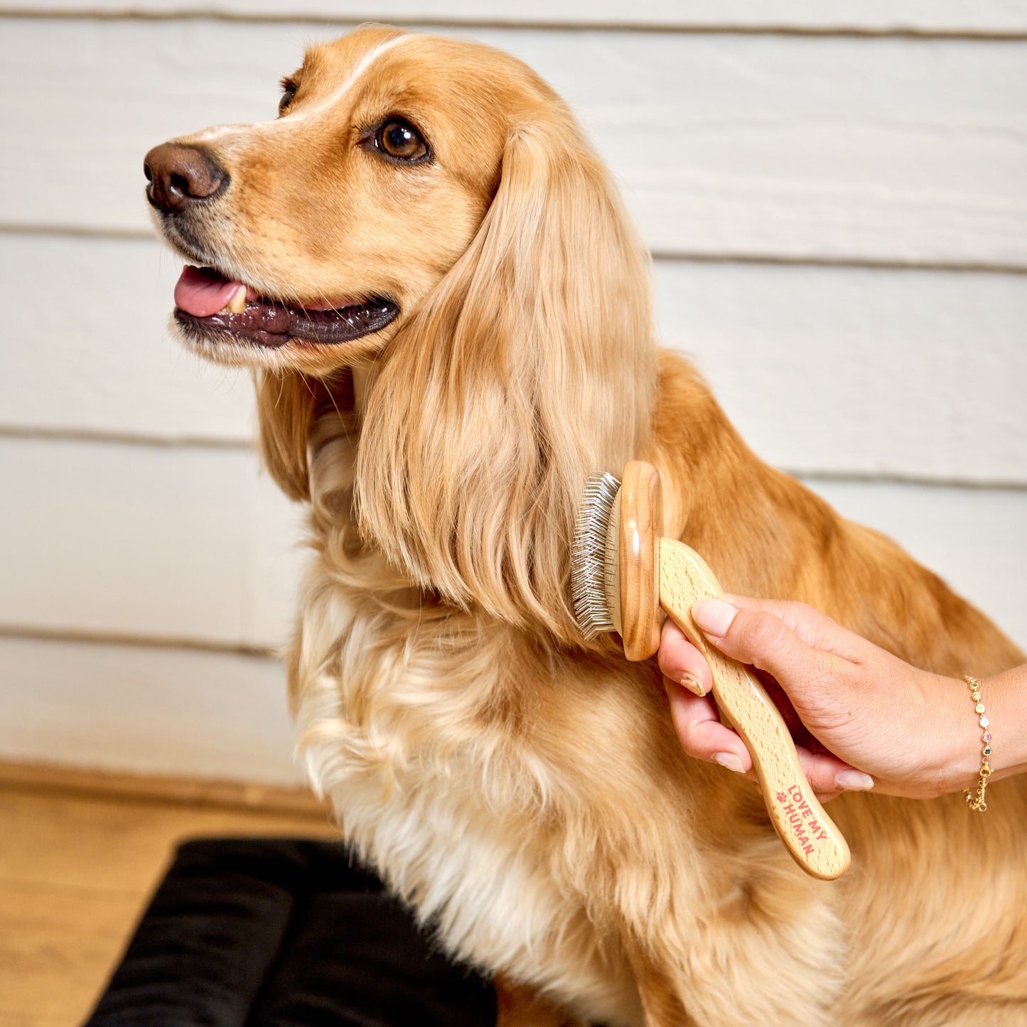 Rounded Wood Slicker Brush - Love My Human