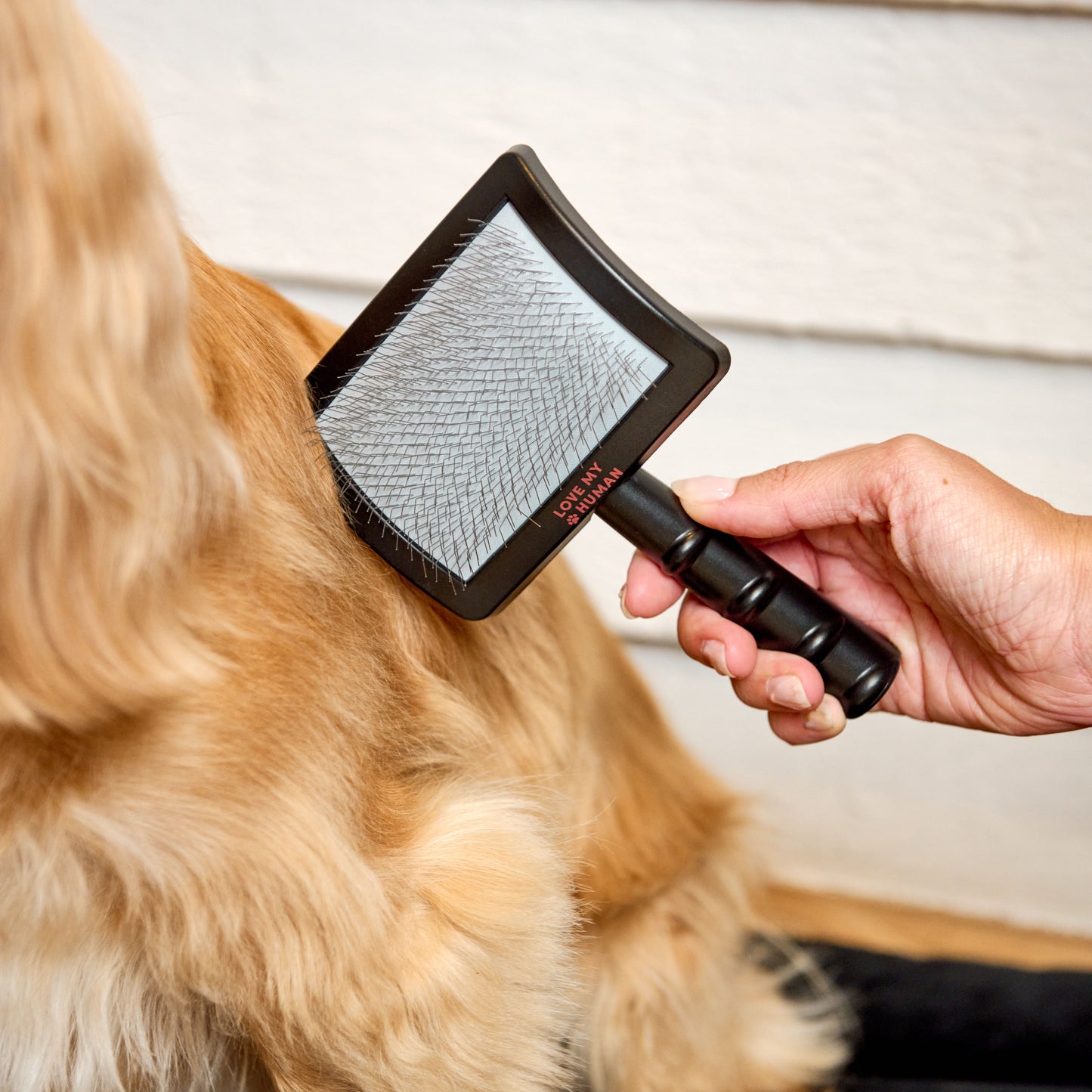 Universal Slicker Brush