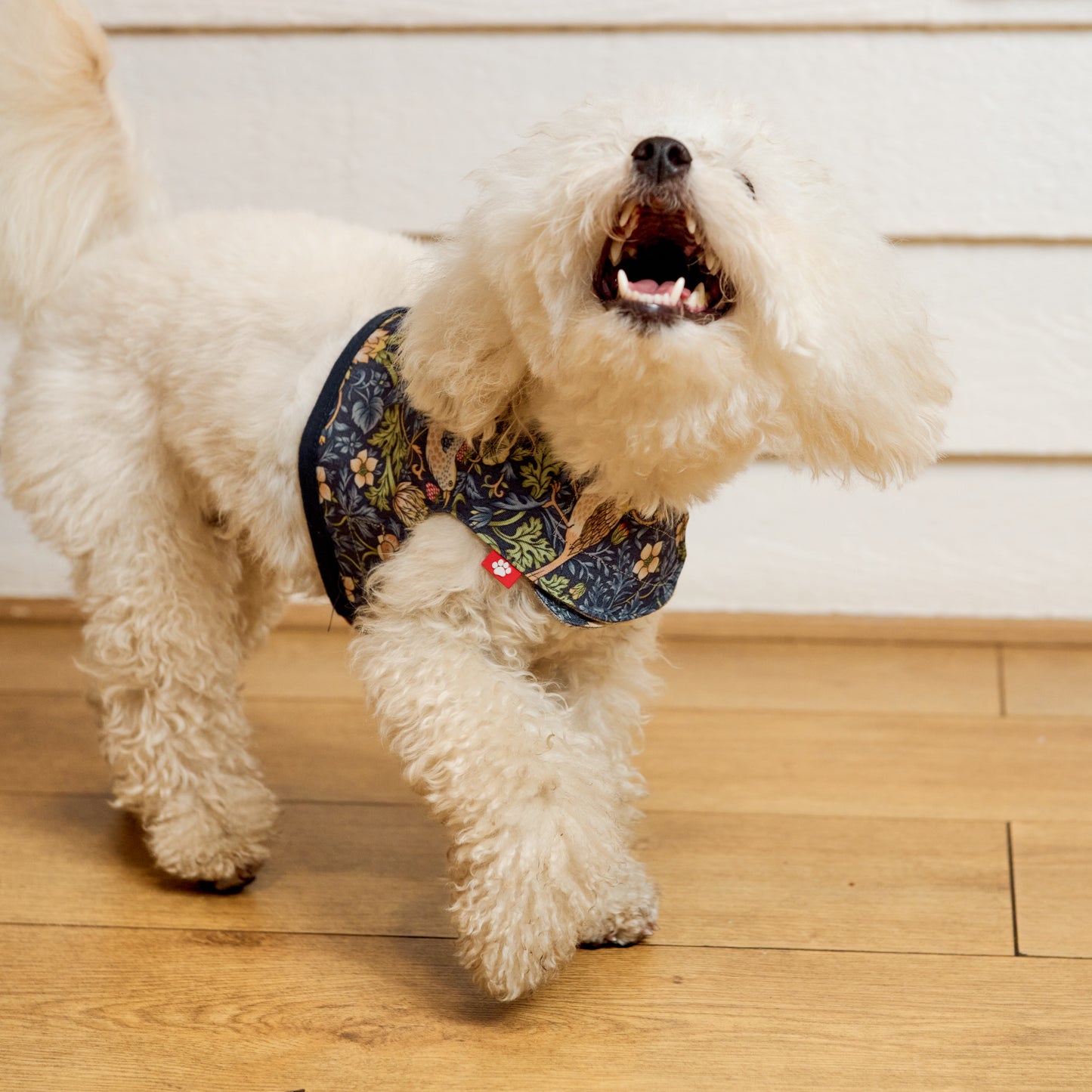 LMH William Morris harnesses