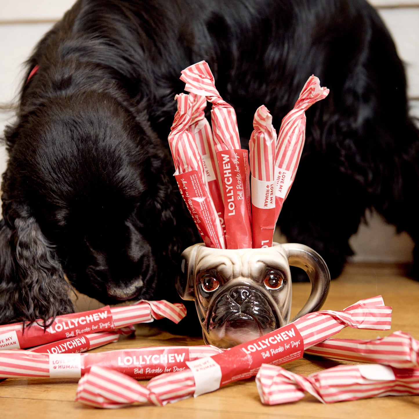 LMH Lollychew