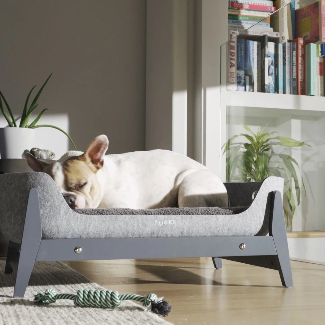 PetNest with Stand Slate