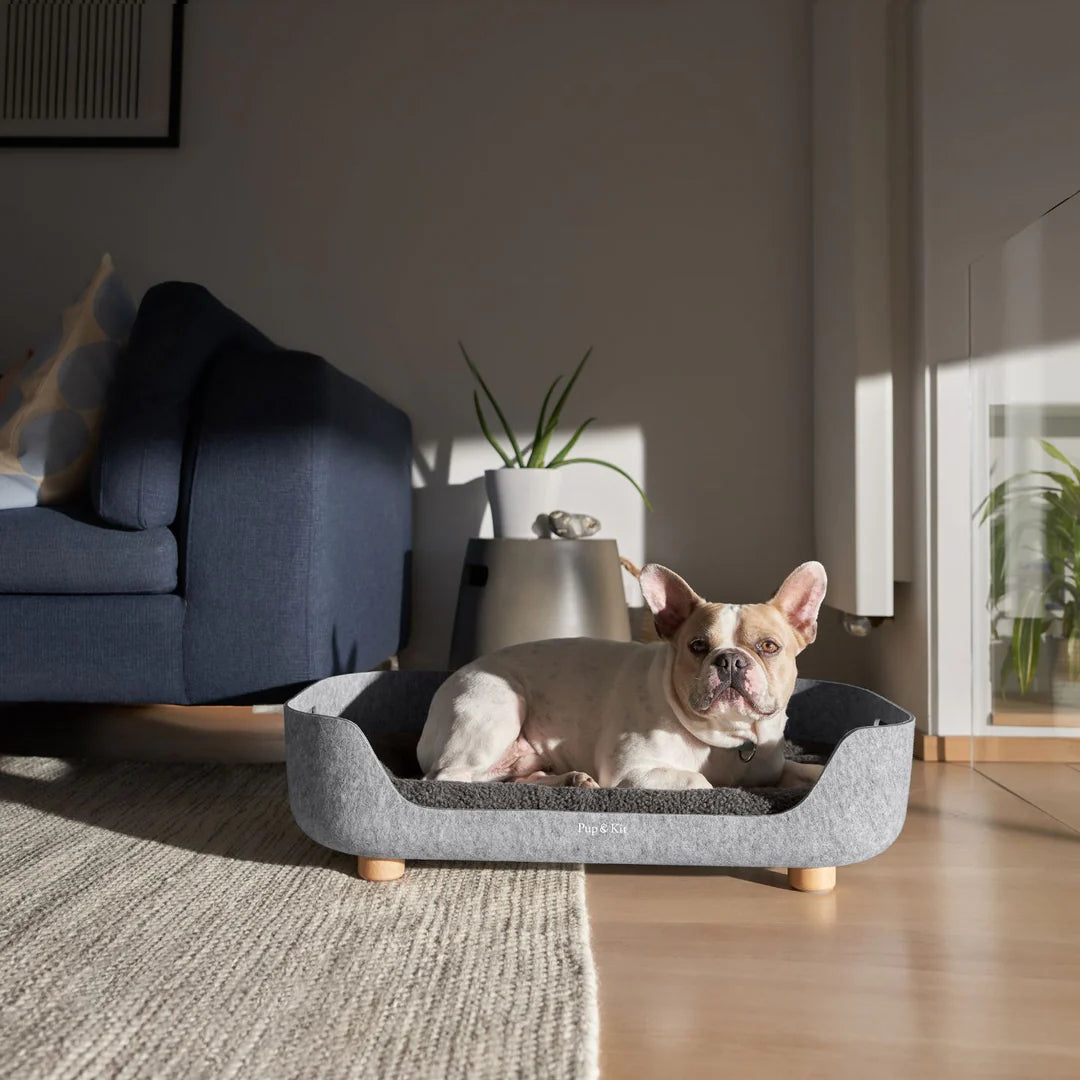 PetNest Felt Dog Bed