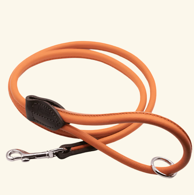 Rolled Leather Leads