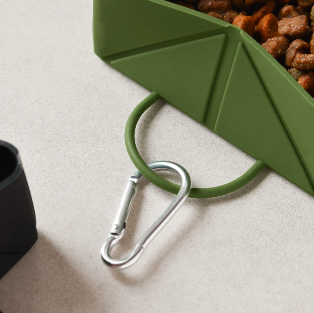Foldable Travel Bowl