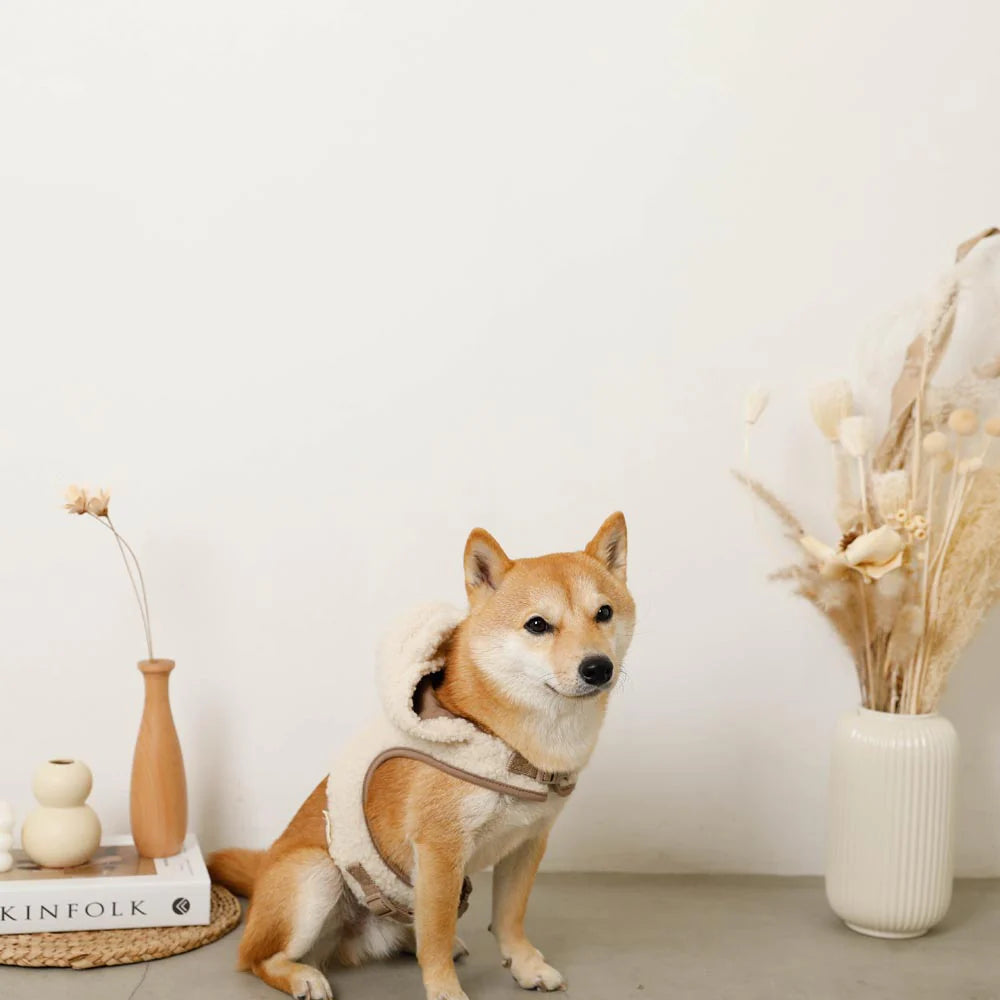 Hooded Harness with Ears
