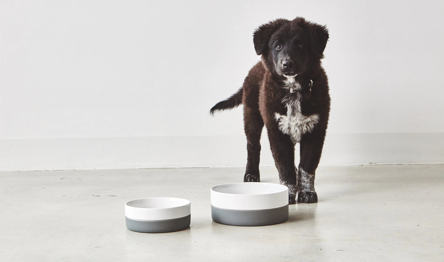 Coppa Dog Bowl