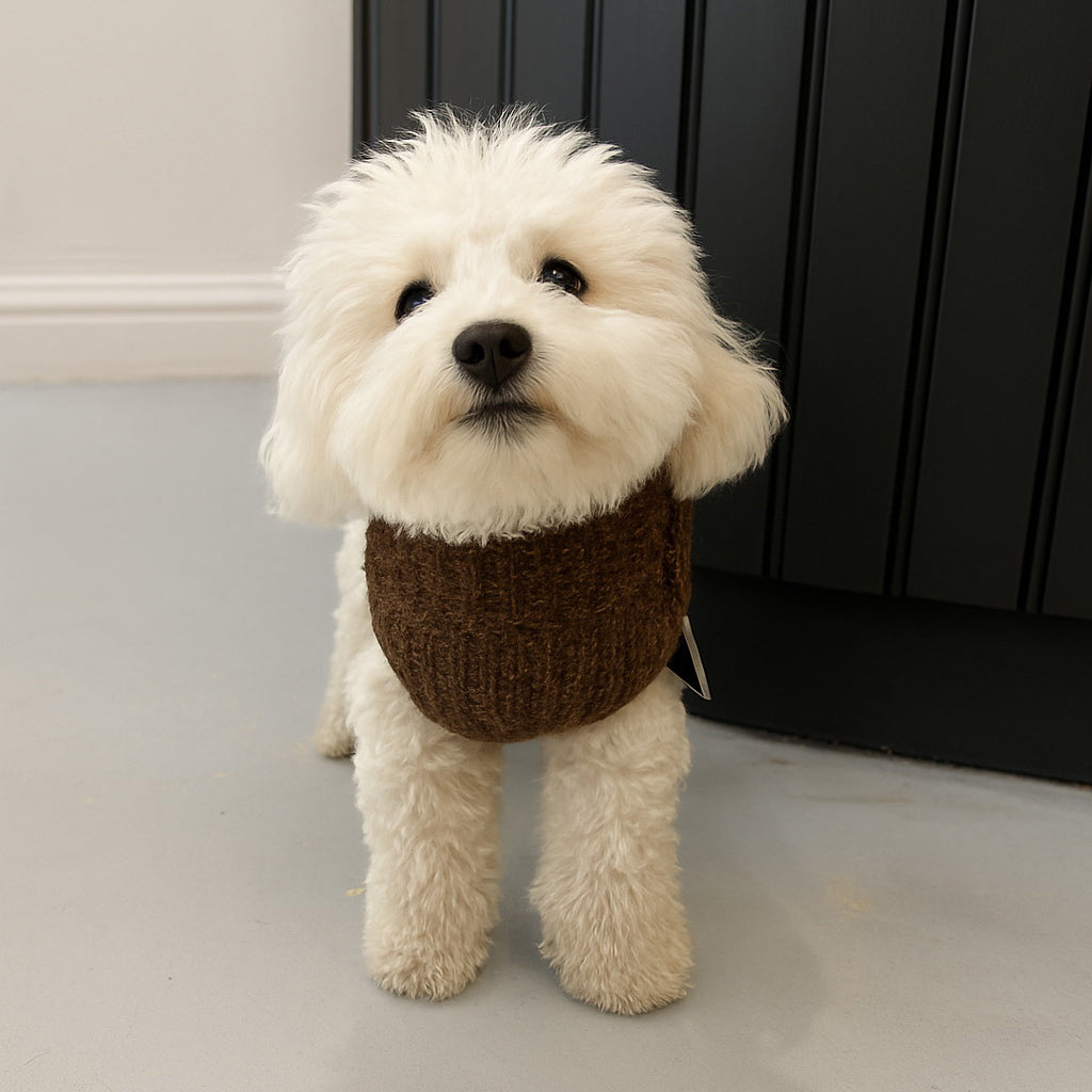 Cosy Boucle Sweater XS