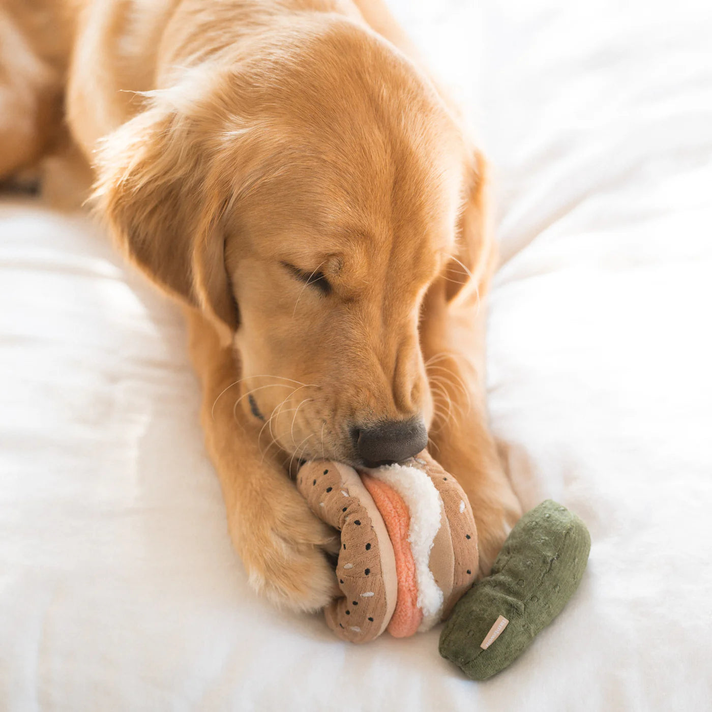 Bagel & Pickle Enrichment Toy
