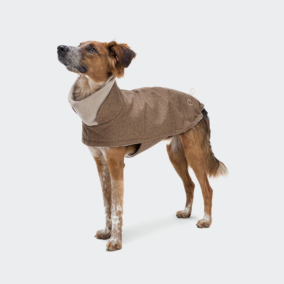 Brooklyn Dachshund Flannel Hazel Coat