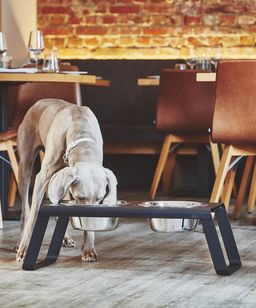 Desco Dog Bowl