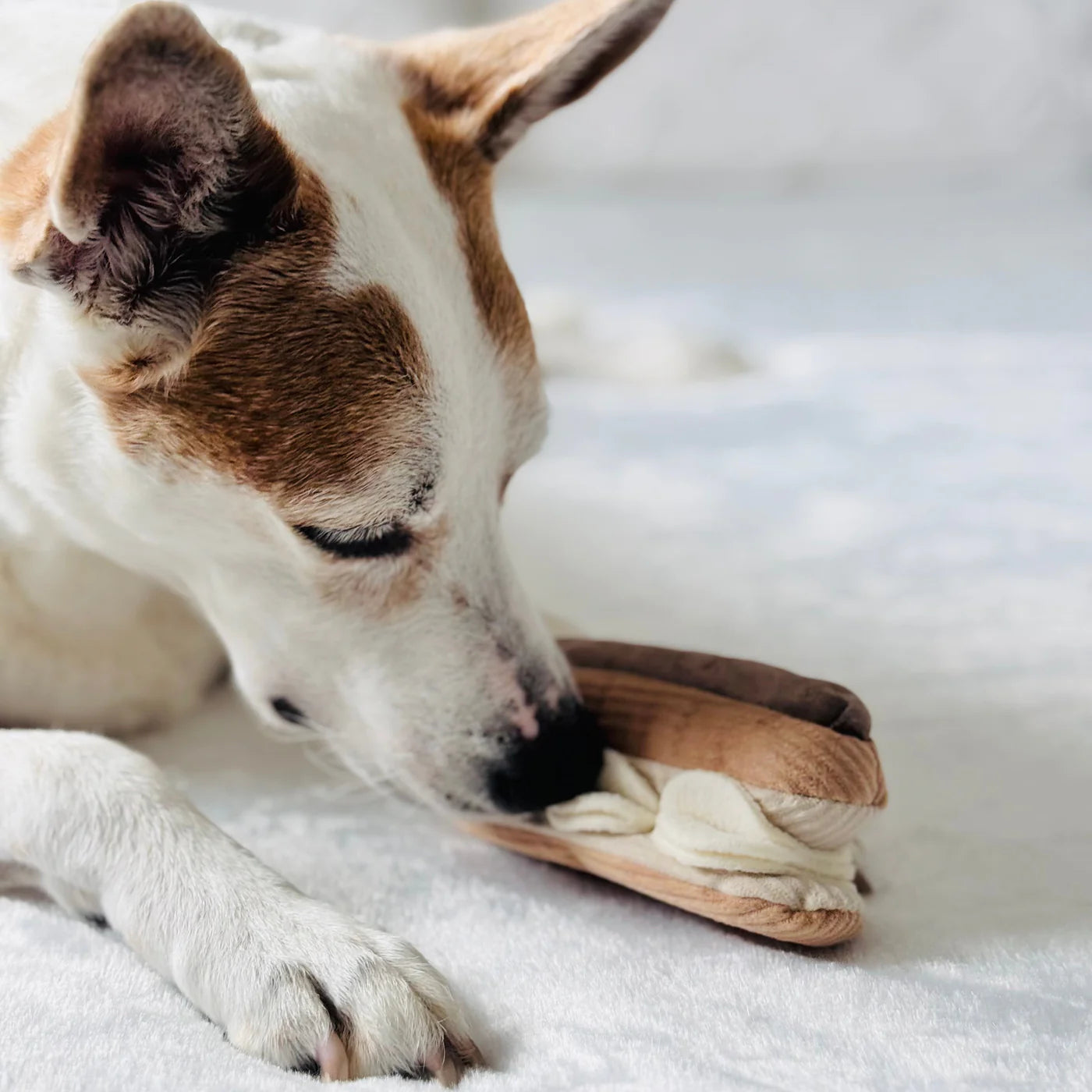 Eclair Enrichment Toy