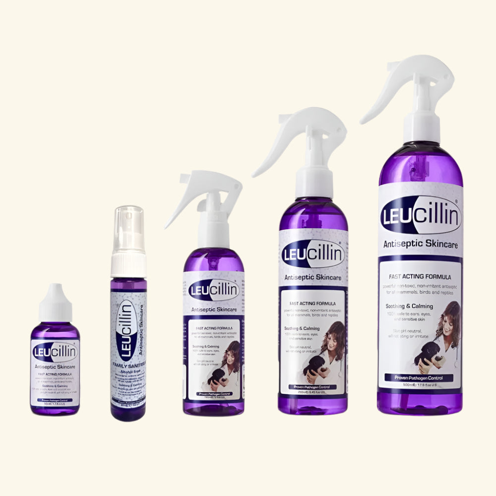 Leucillin Antiseptic Spray