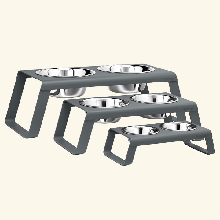 Desco Dog Bowl
