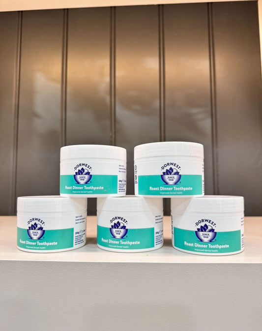 Unlock Your Dog's Brightest Smile: The Power of Canine Dental Care