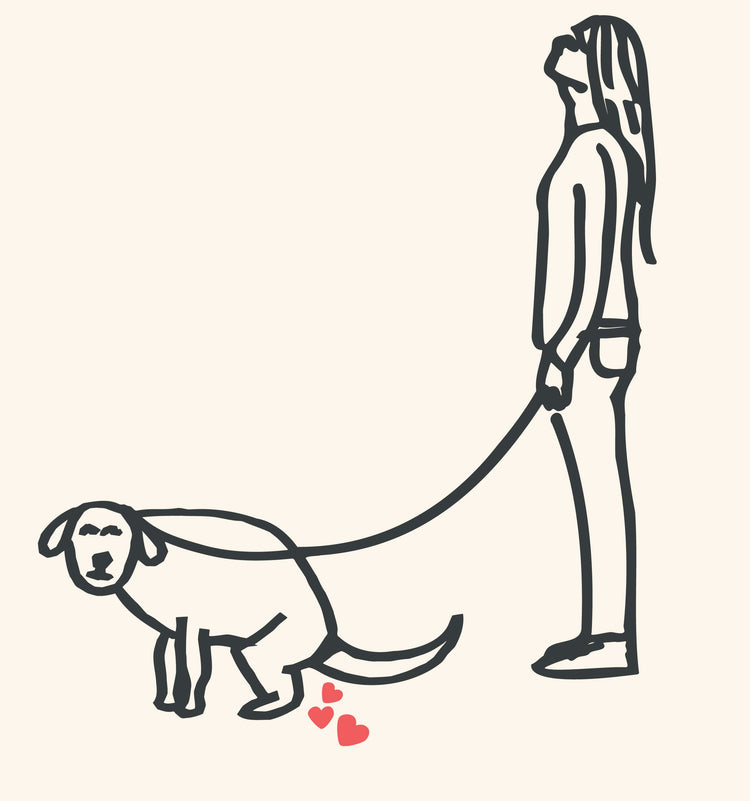 Dog Leads