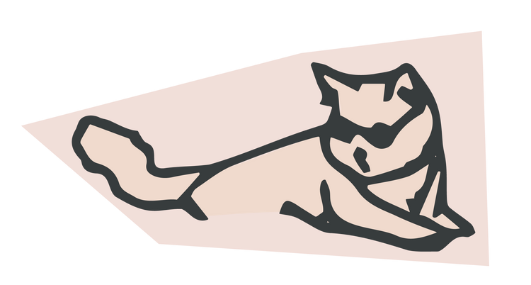 Cat Toys