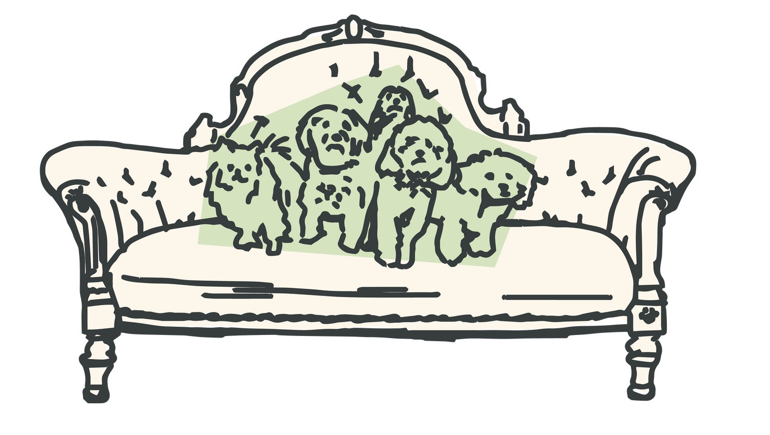 Dog Beds
