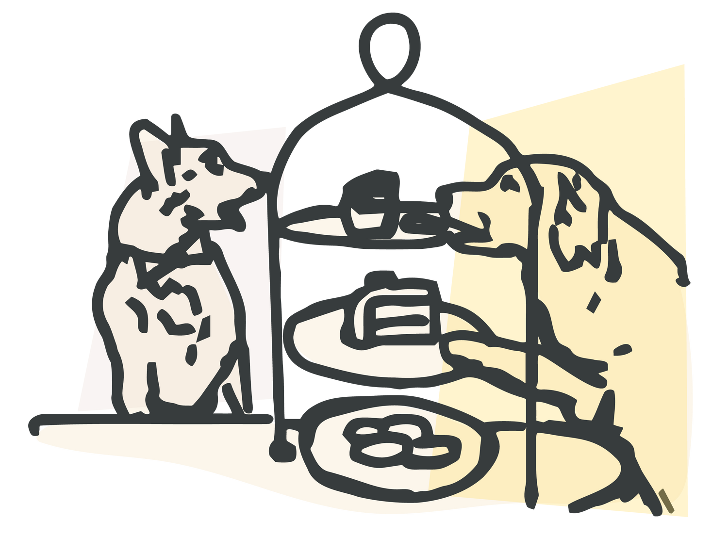 Dog Bowls