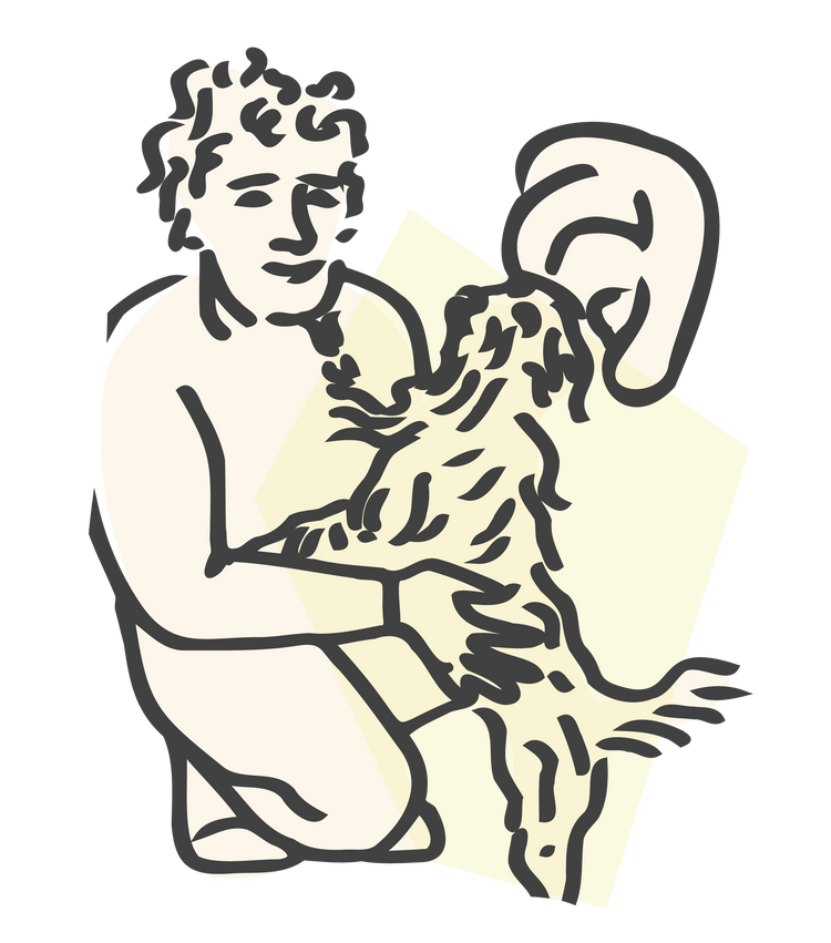 Dog Grooming Products