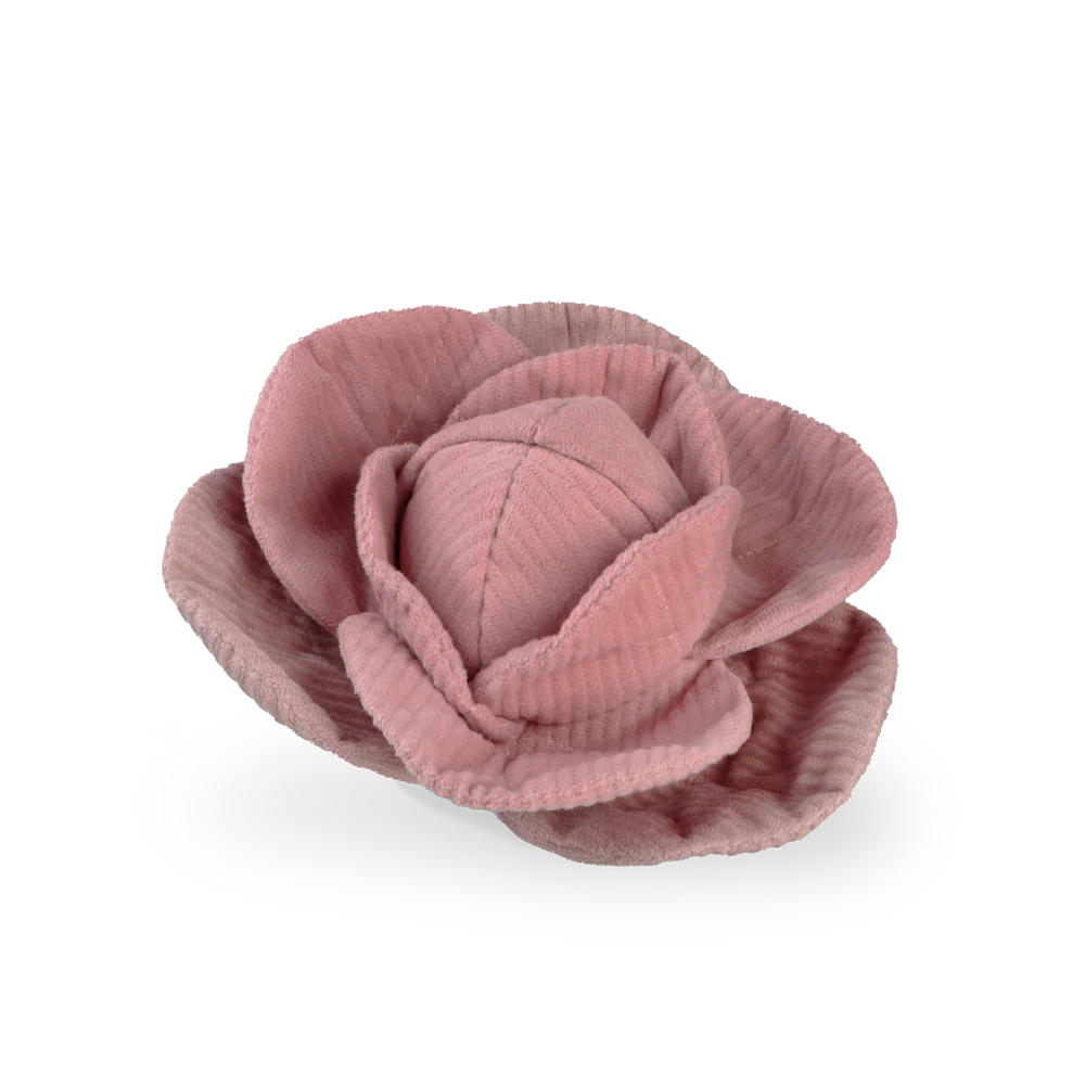 Cabbage Pop