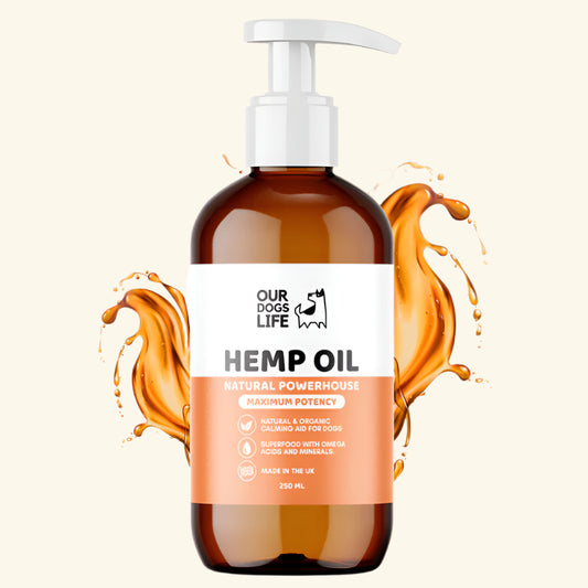Hemp Seed Oil