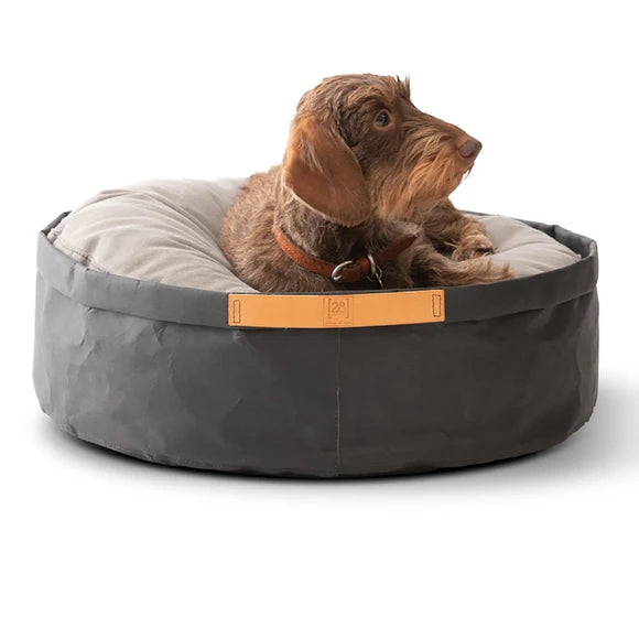 IRVING Black Dog Cushion