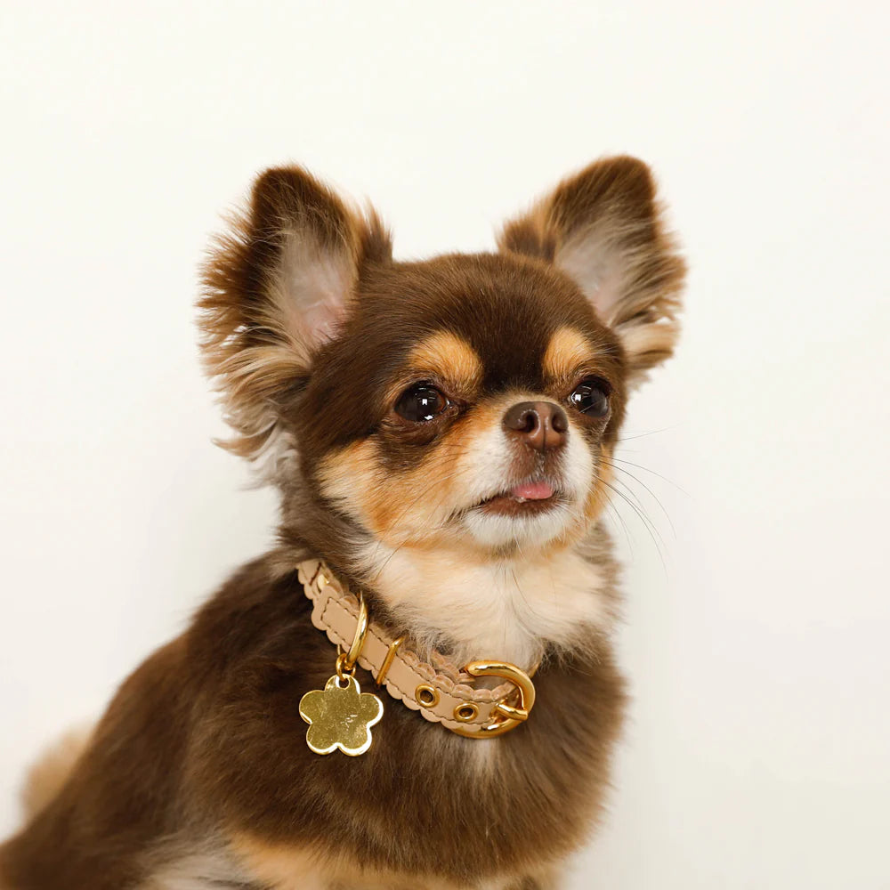 Wavy Flower Charm Collar