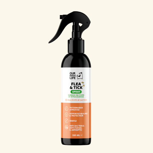 Flea and Tick Spray