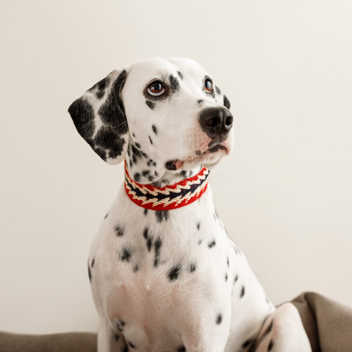 Peruvian Cotton Collar