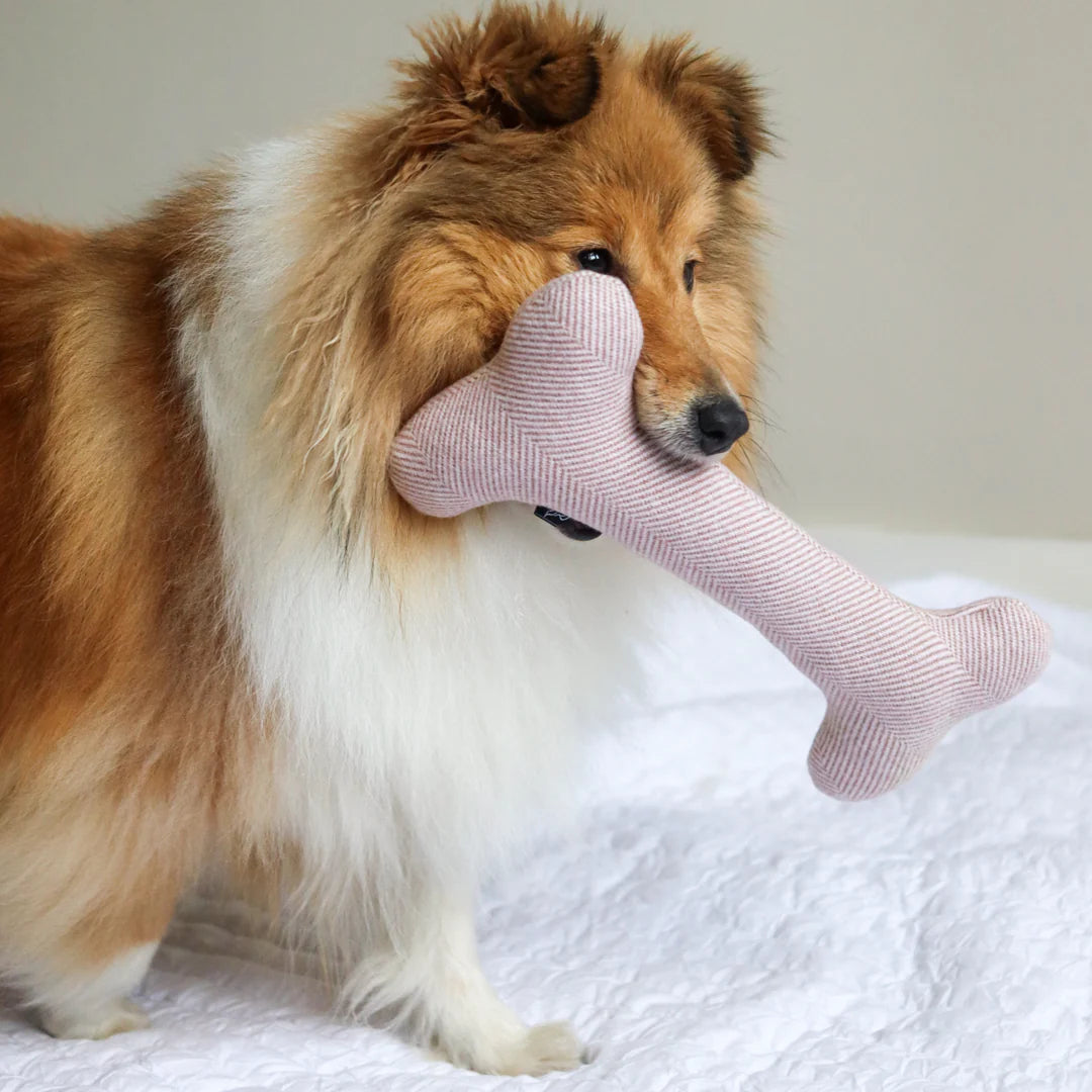 Bone Toy