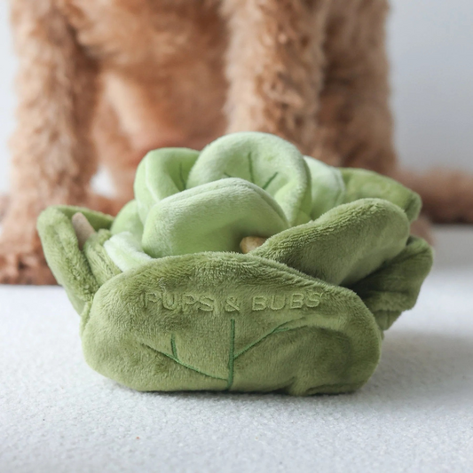 Snuffle Cabbage