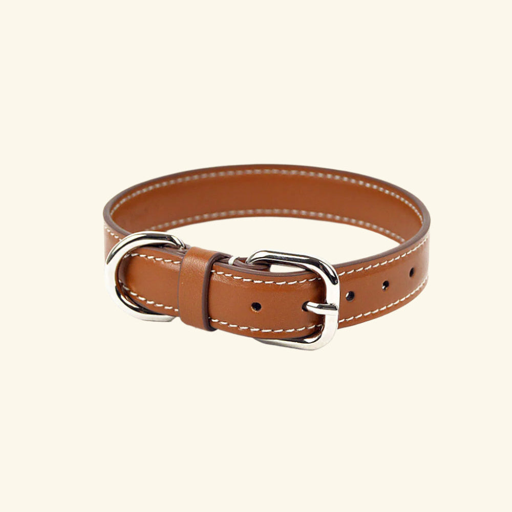 Carlotta Palermo - Leather Collar