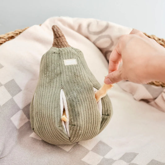 Butternut Squash