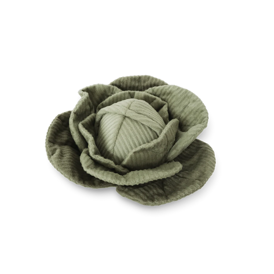Cabbage Pop