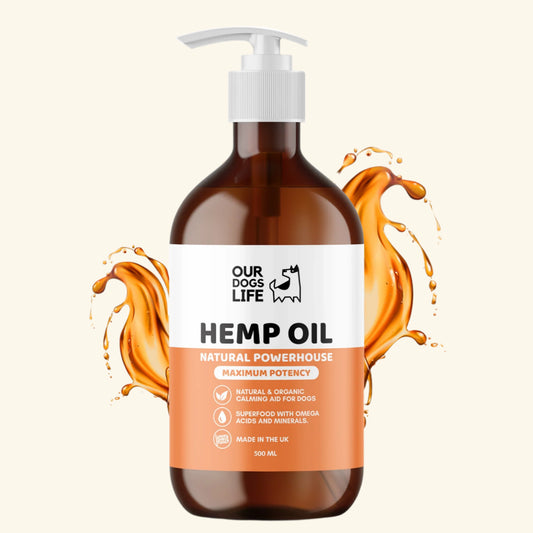 Hemp Seed Oil