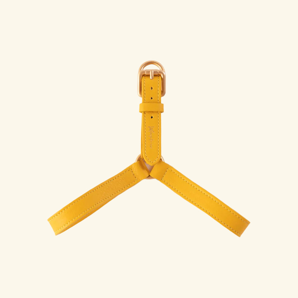 MARIO Harness